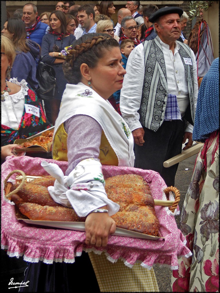 Foto: 171013-106 ZARAGOZA OF FRUTOS - Zaragoza (Aragón), España