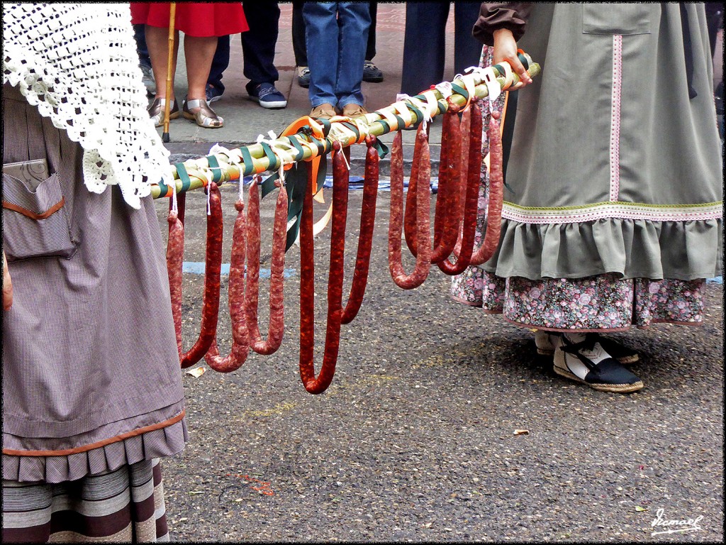 Foto: 171013-071 ZARAGOZA OF FRUTOS - Zaragoza (Aragón), España