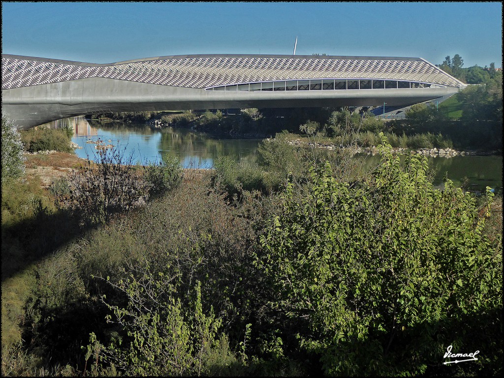 Foto: 171009-003 ZARAGOZA RANILLAS - Zaragoza (Aragón), España