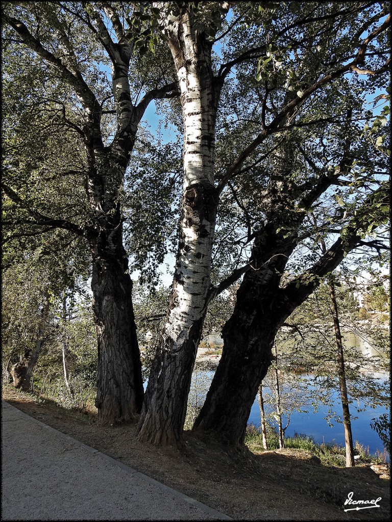 Foto: 171023-020 ZARAGOZA - Zaragoza (Aragón), España