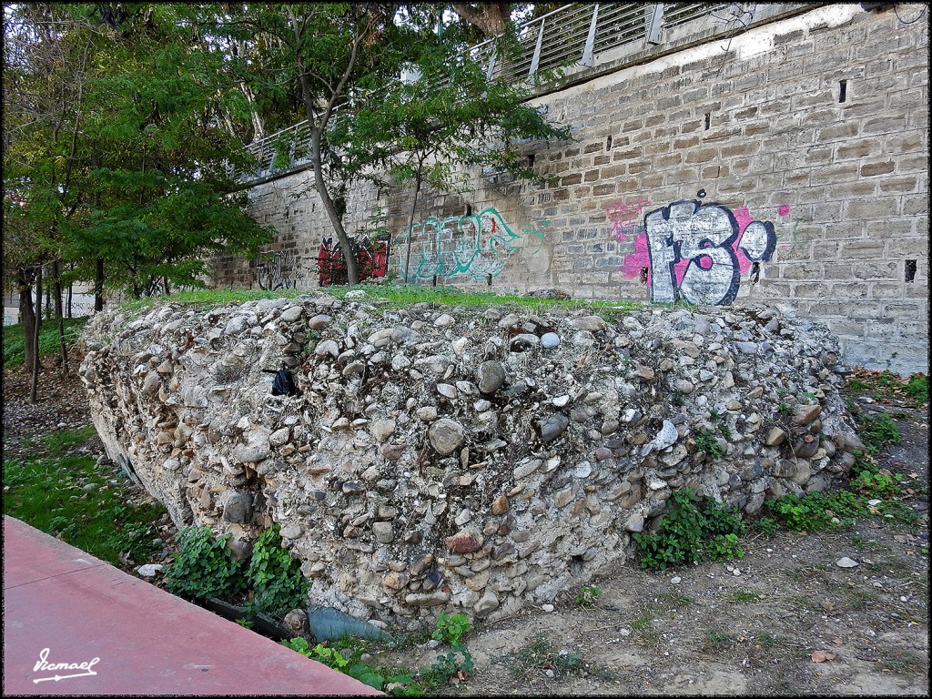 Foto: 171023-028 ZARAGOZA - Zaragoza (Aragón), España