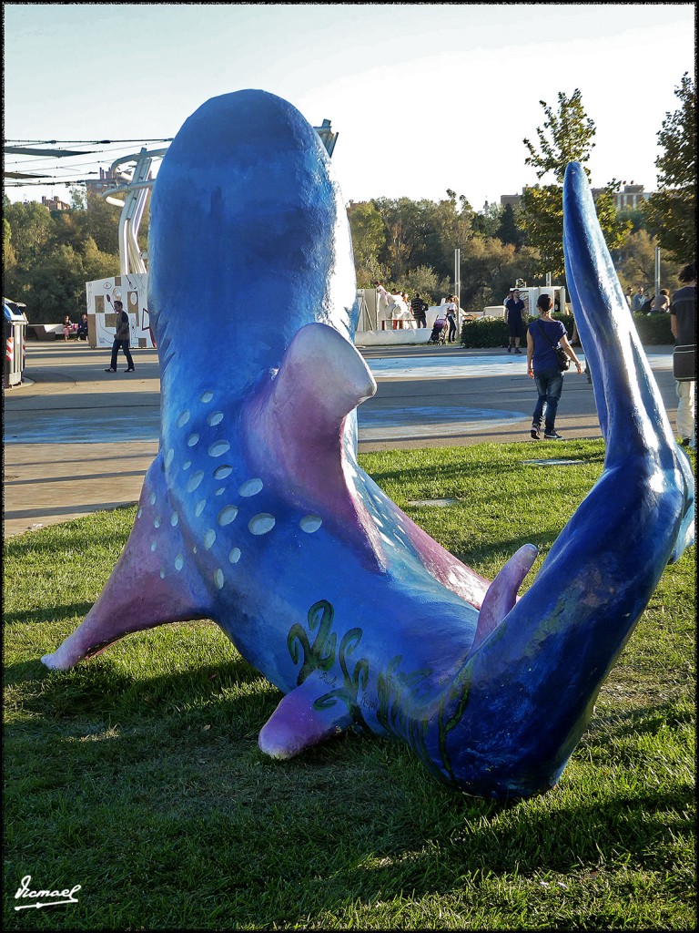 Foto: 171009-038 ZARAGOZA RANILLAS - Zaragoza (Aragón), España