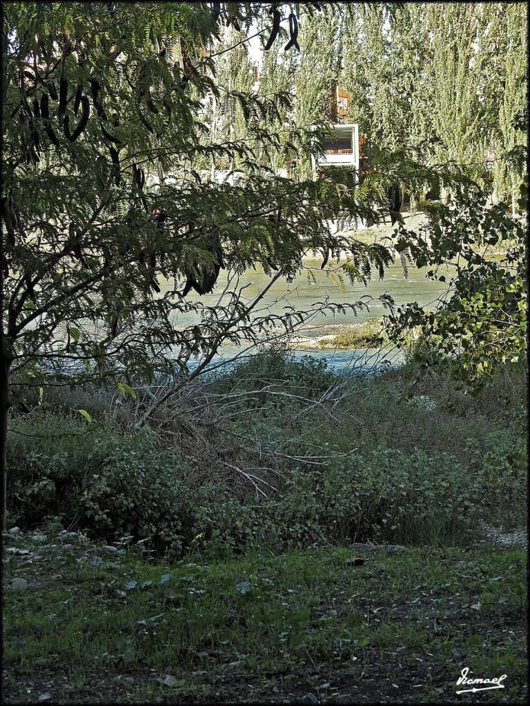 Foto: 171023-029 ZARAGOZA - Zaragoza (Aragón), España