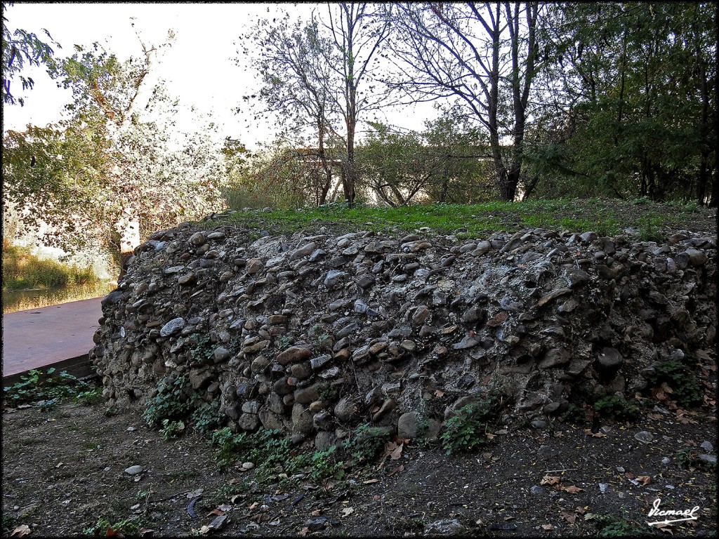 Foto: 171023-030 ZARAGOZA - Zaragoza (Aragón), España