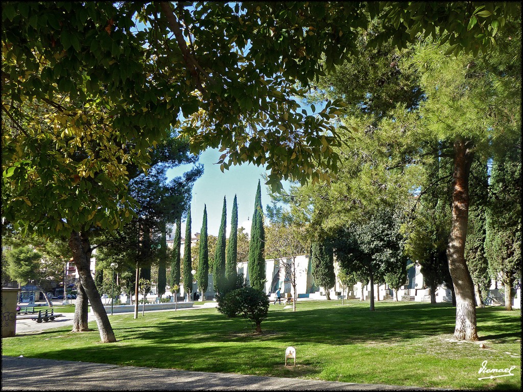 Foto: 171026-007 ZARAGOZA - Zaragoza (Aragón), España