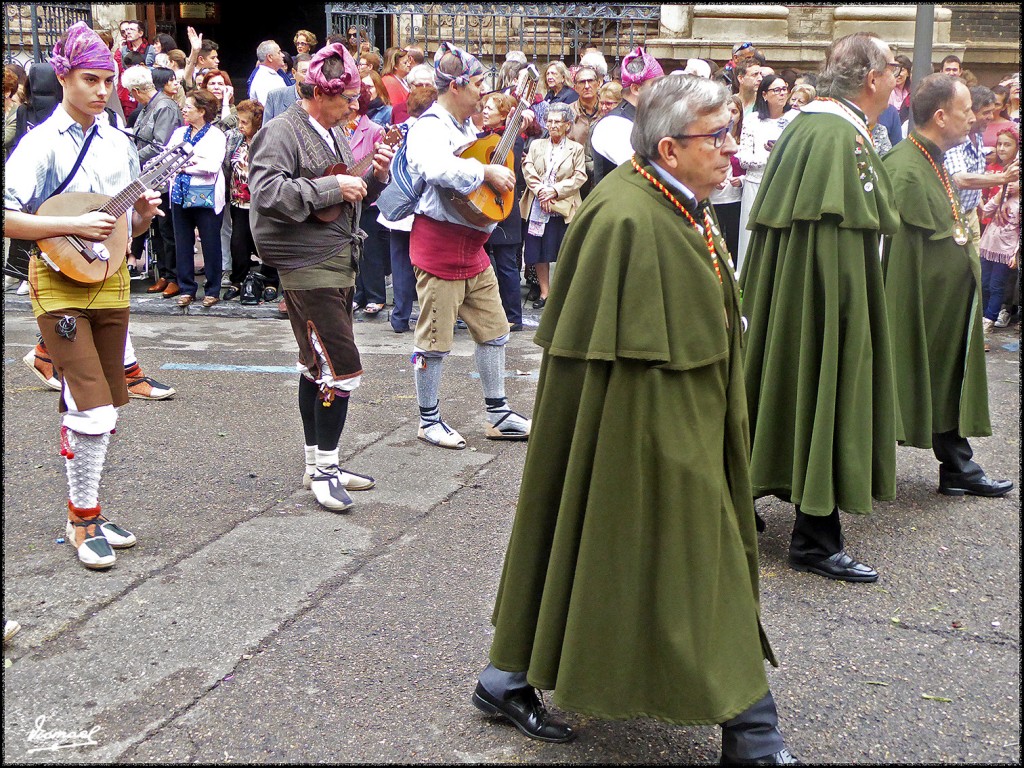 Foto: 171013-169 ZARAGOZA OF FRUTOS - Zaragoza (Aragón), España