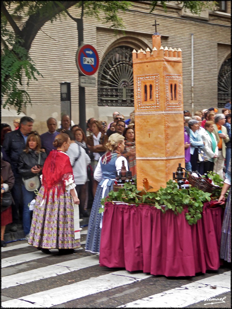 Foto: 171013-097 ZARAGOZA OF FRUTOS - Zaragoza (Aragón), España