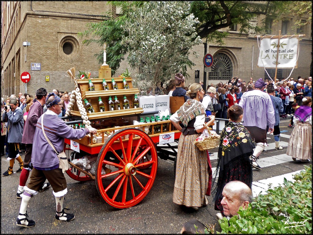 Foto: 171013-162 ZARAGOZA OF FRUTOS - Zaragoza (Aragón), España