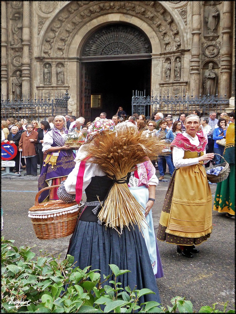 Foto: 171013-080 ZARAGOZA OF FRUTOS - Zaragoza (Aragón), España