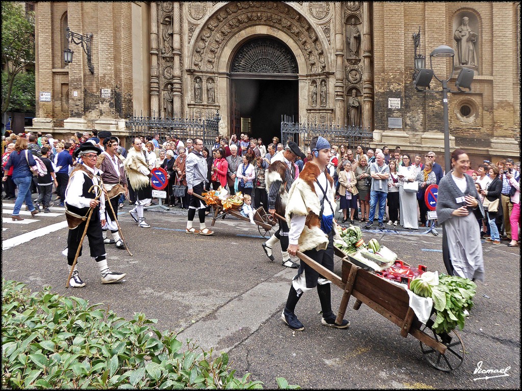 Foto: 171013-155 ZARAGOZA OF FRUTOS - Zaragoza (Aragón), España