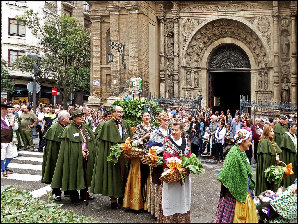 Foto: 171013-165 ZARAGOZA OF FRUTOS - Zaragoza (Aragón), España