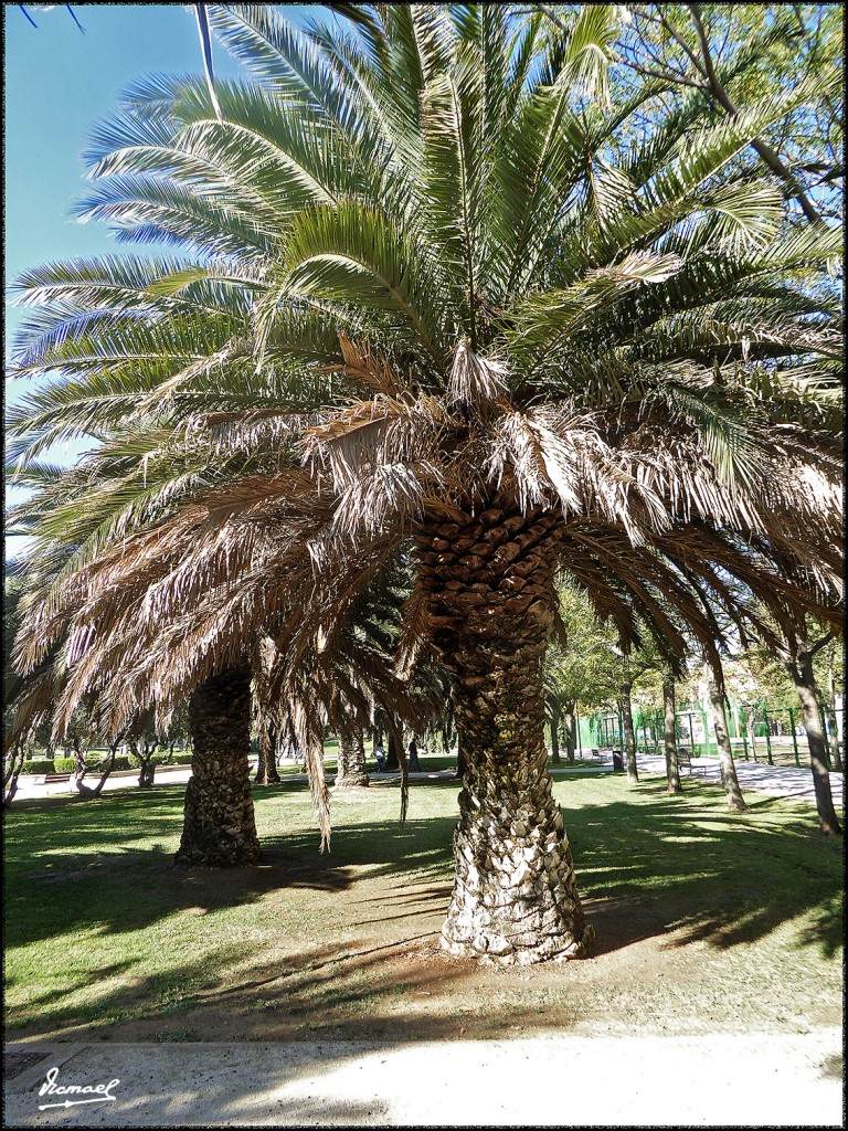Foto: 171026-019 ZARAGOZA - Zaragoza (Aragón), España