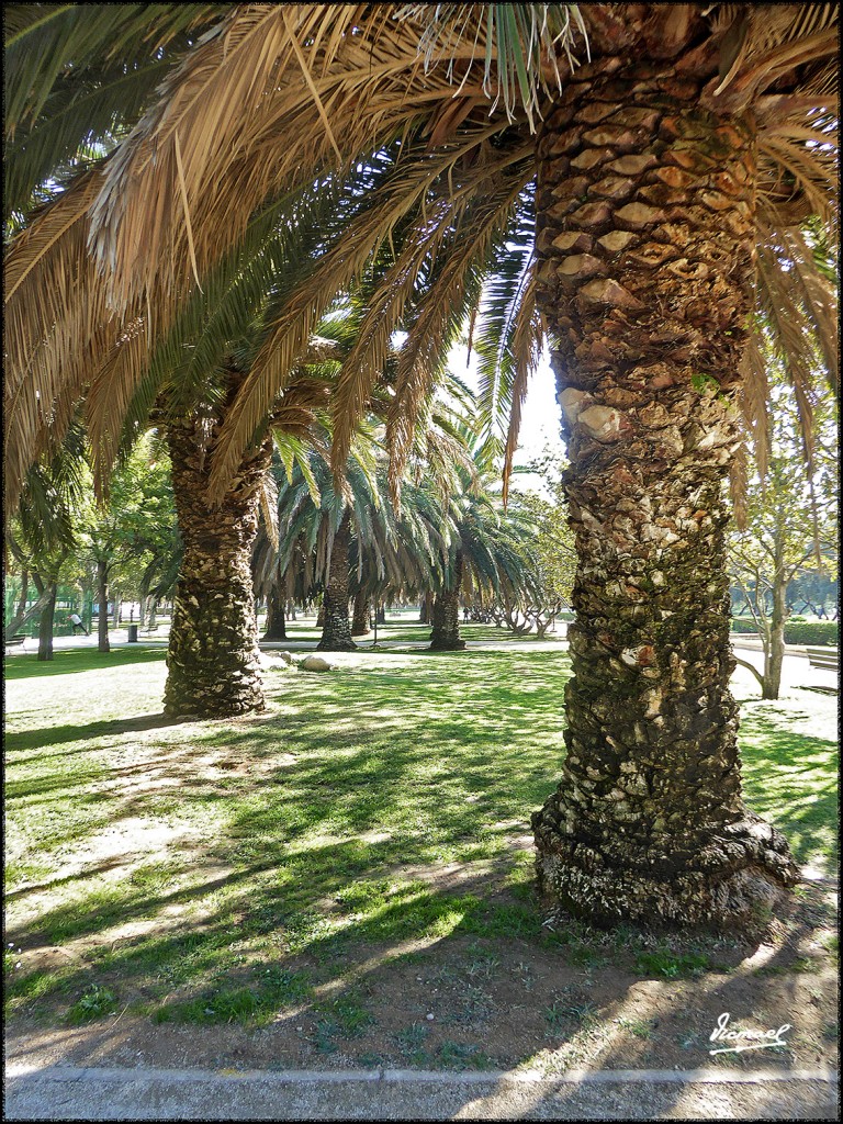 Foto: 171026-017 ZARAGOZA - Zaragoza (Aragón), España