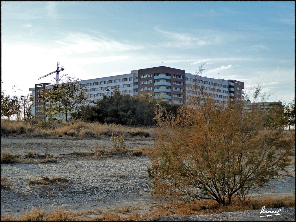 Foto: 171102-16 VALDESPARTERA - Zaragoza (Aragón), España