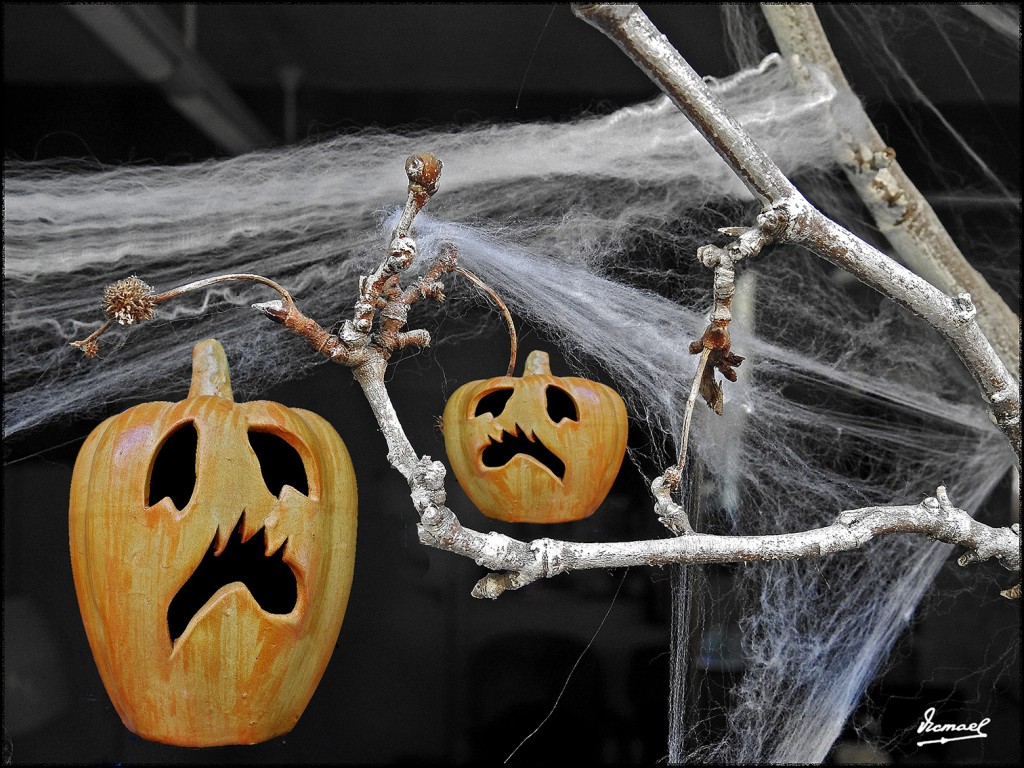 Foto: 171029-12 ZARAGOZA copia 2 - Zaragoza (Aragón), España