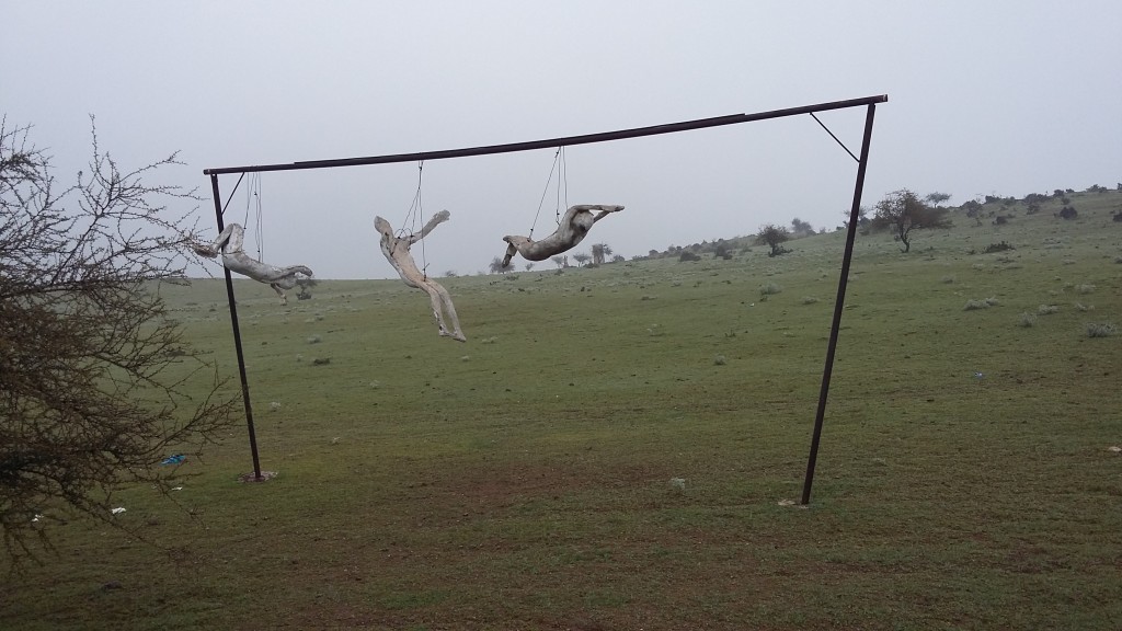 Foto: Parque Las Carretas - Putaendo (Valparaíso), Chile