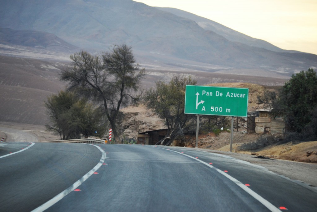 Foto: Señalética - Las Bombas (Atacama), Chile