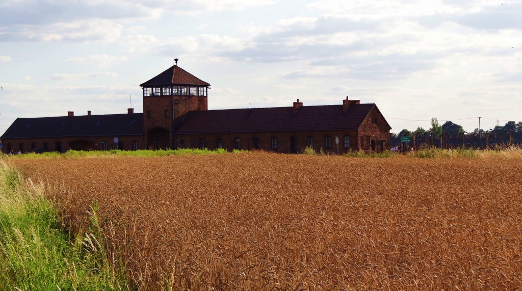 Foto: Auschwitz II - Birkenau - Brzezinka (Lesser Poland Voivodeship), Polonia