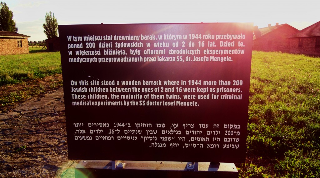 Foto: Auschwitz II - Birkenau - Brzezinka (Lesser Poland Voivodeship), Polonia