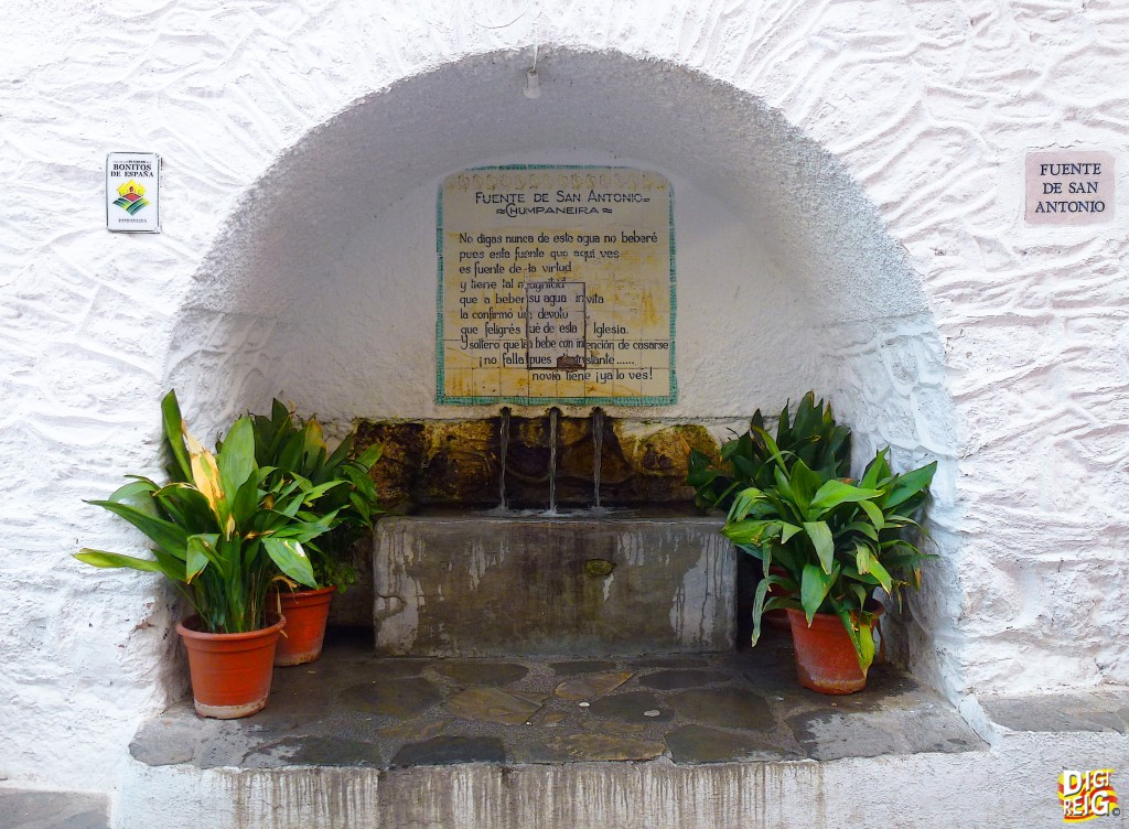 Foto: Fuente de San Antonio. - Pampaneira (Alpujarra) (Granada), España