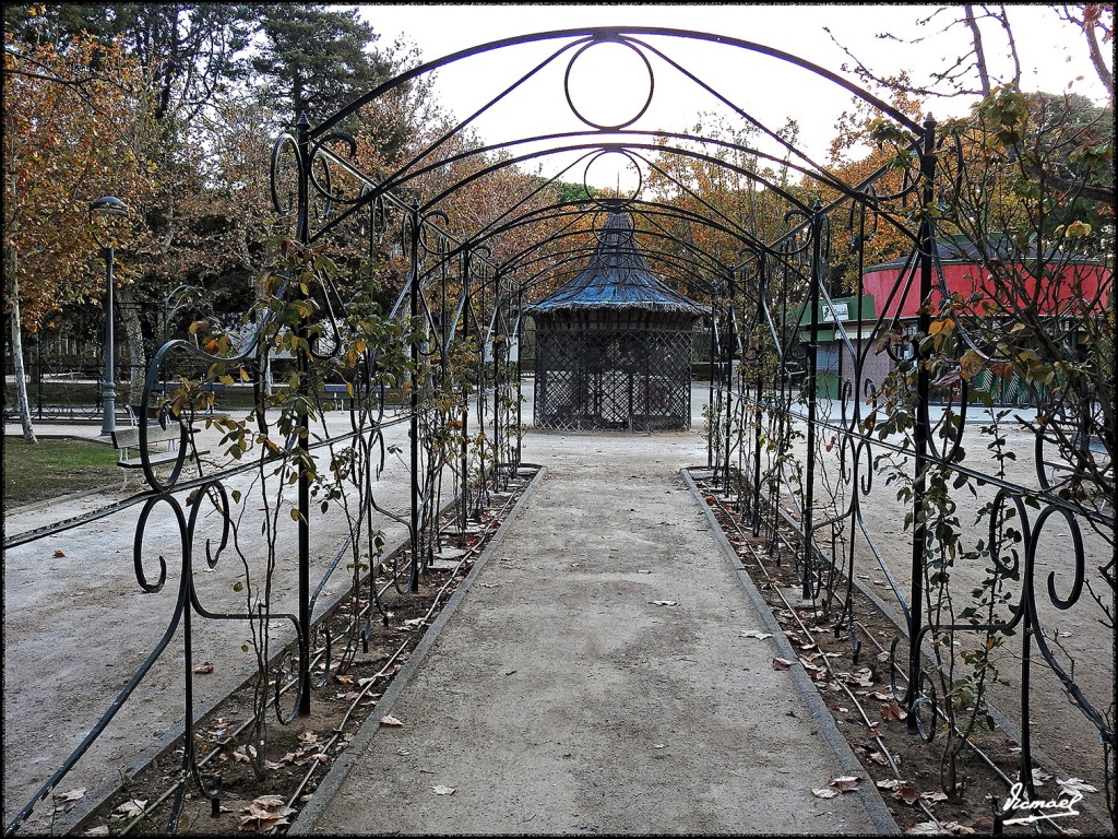 Foto: 171120-38 Zaragoza, Parque - Zaragoza (Aragón), España