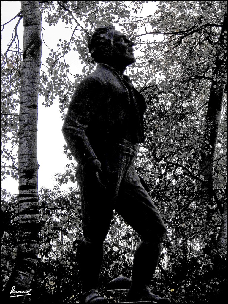 Foto: 171120-50 Zaragoza, Parque - Zaragoza (Aragón), España