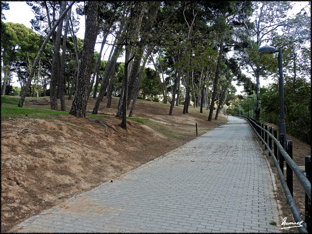 Foto: 171120-22 Zaragoza, Parque - Zaragoza (Aragón), España