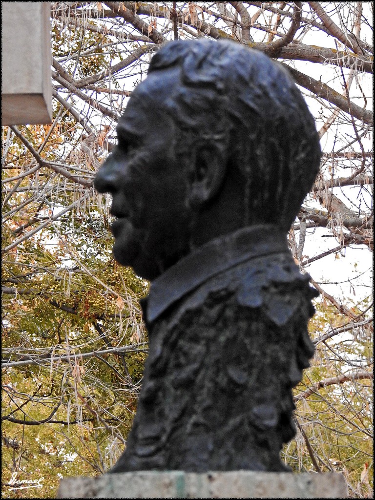 Foto: 171120-52 Zaragoza, Parque - Zaragoza (Aragón), España