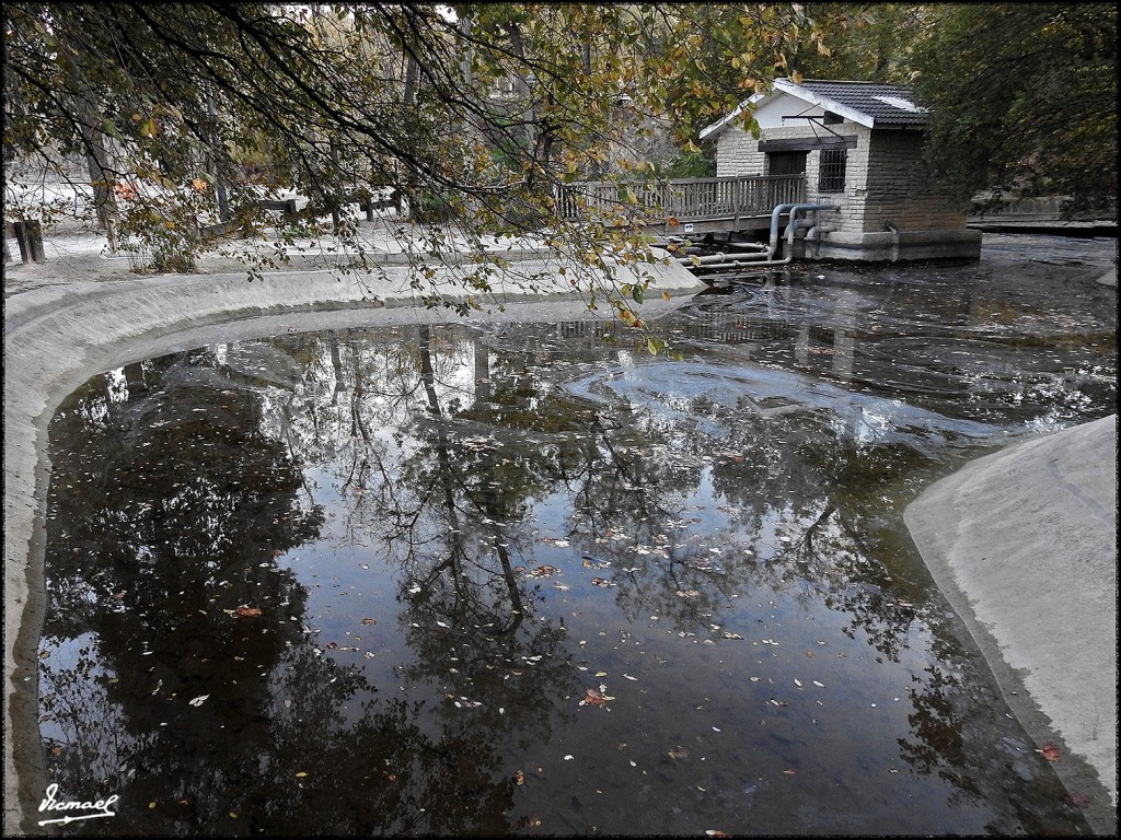 Foto: 171120-46 Zaragoza, Parque - Zaragoza (Aragón), España