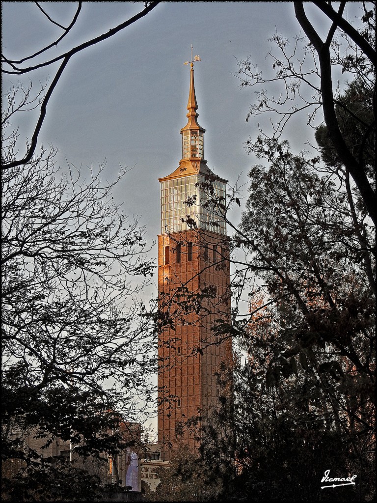 Foto: 171120-23 Zaragoza, Parque - Zaragoza (Aragón), España