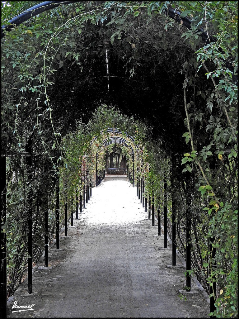 Foto: 171120-35 Zaragoza, Parque - Zaragoza (Aragón), España