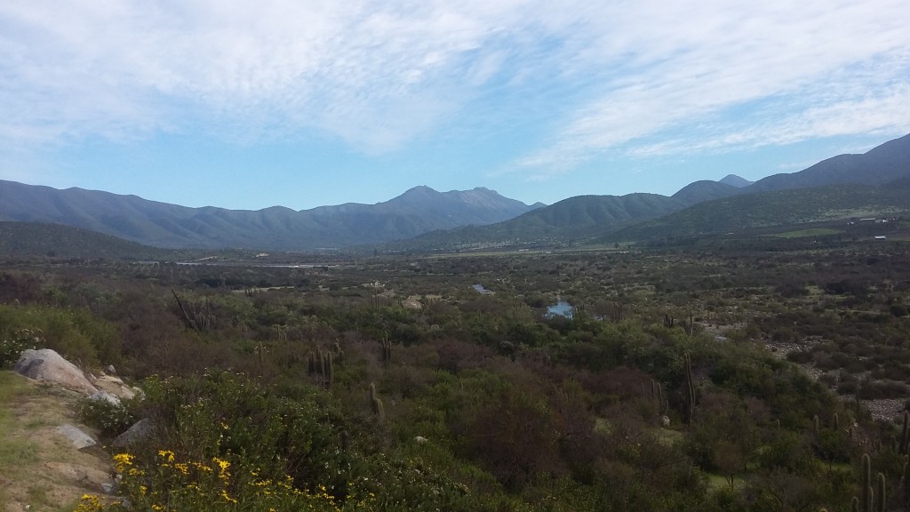 Foto: Entre Petorca Y Salamanca - Petorca (Valparaíso), Chile