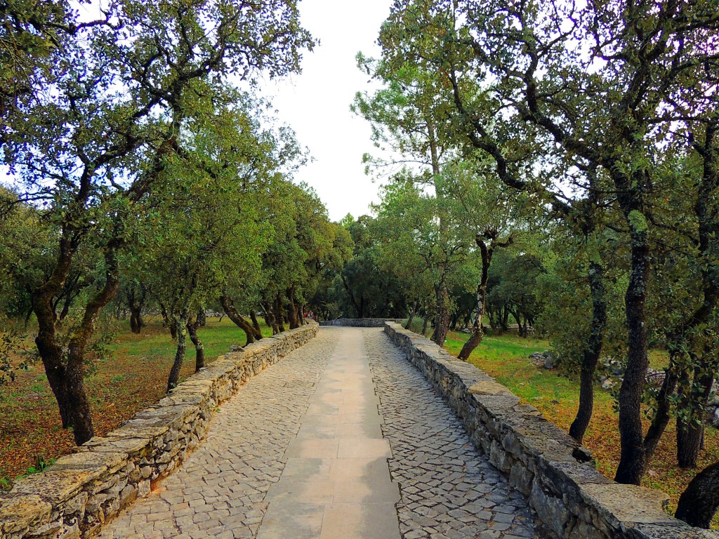 Foto de Aljustrel (Leiria), Portugal
