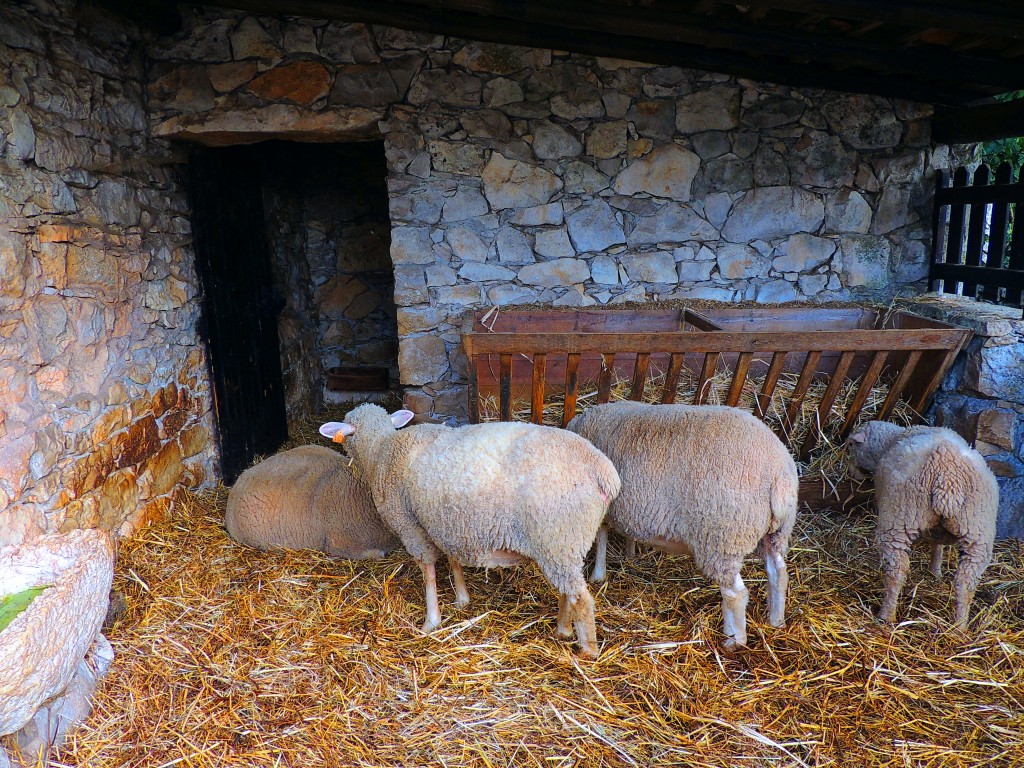Foto de Aljustrel (Leiria), Portugal