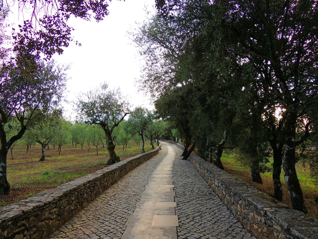 Foto de Aljustrel (Leiria), Portugal