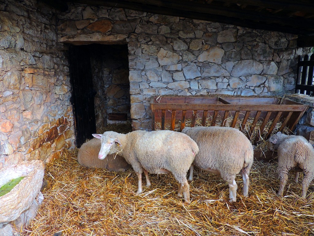 Foto de Aljustrel (Leiria), Portugal
