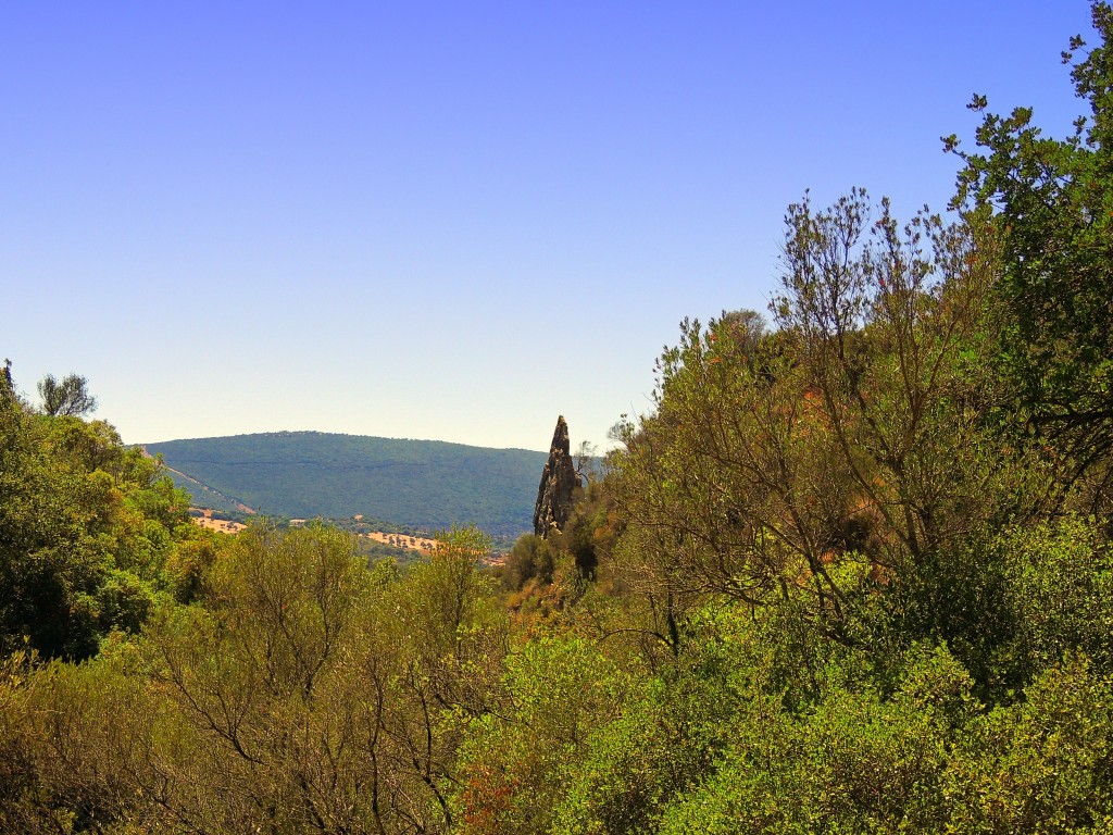 Foto de Algar (Cádiz), España