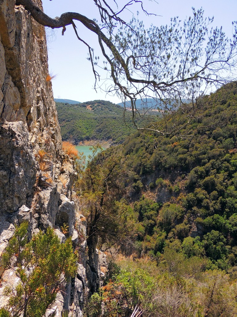 Foto de Algar (Cádiz), España