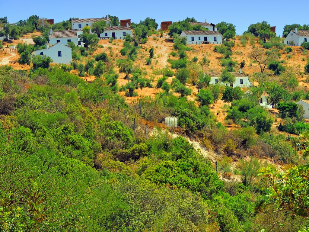 Foto de Algar (Cádiz), España