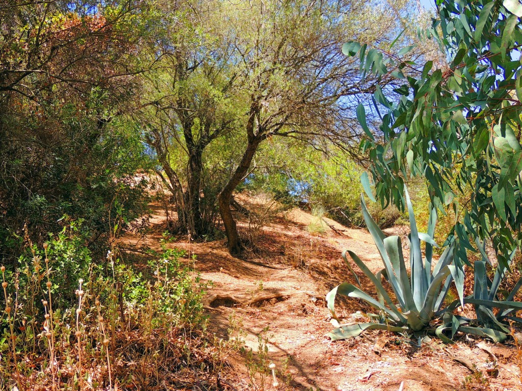 Foto de Algar (Cádiz), España