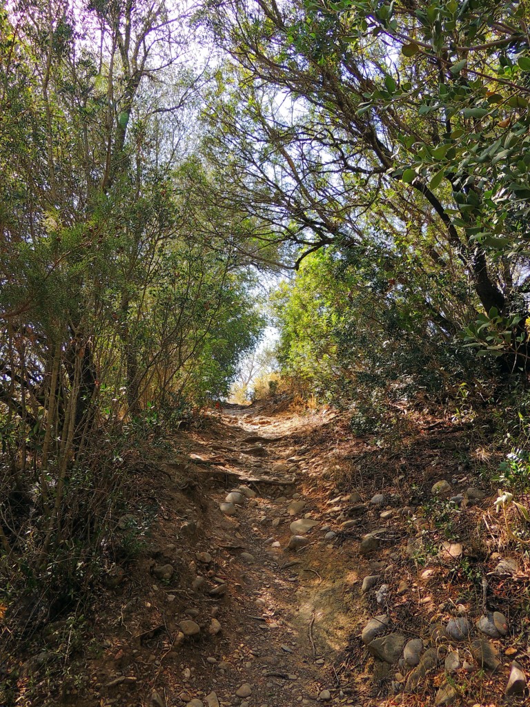 Foto de Algar (Cádiz), España