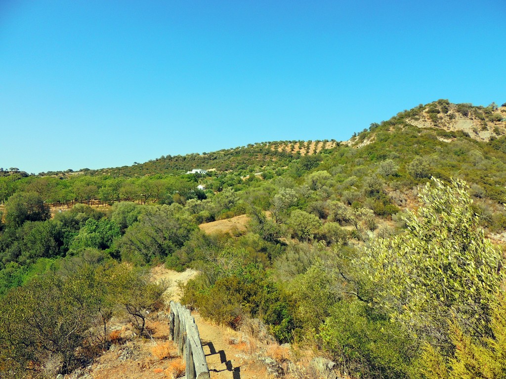 Foto de Algar (Cádiz), España