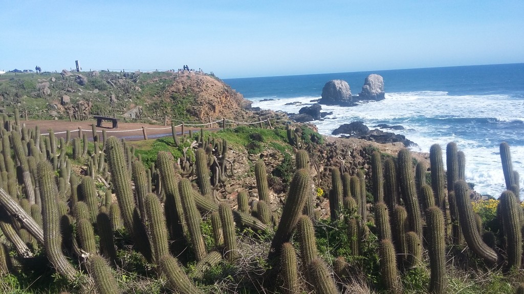 Foto: Punta De Lobos - Pichilemu (Libertador General Bernardo OʼHiggins), Chile