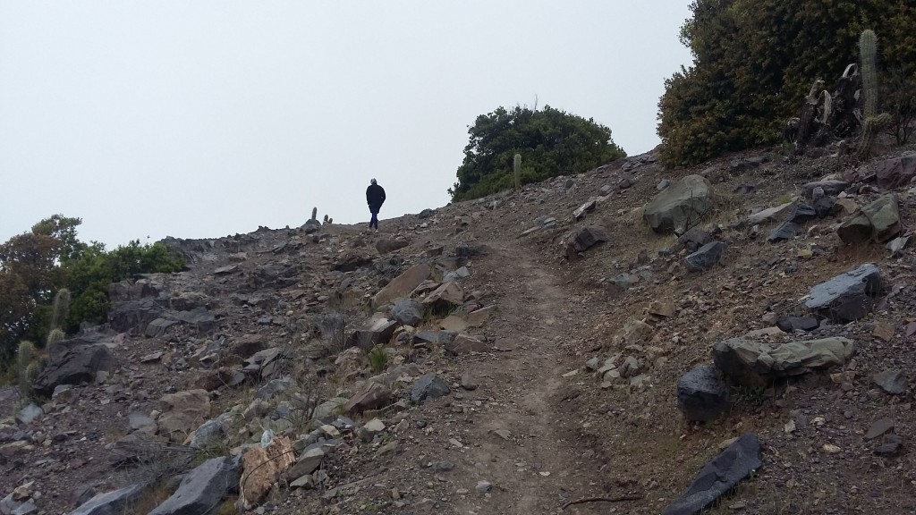 Foto: sector poza azul salamanca - Salamanca (Coquimbo), Chile