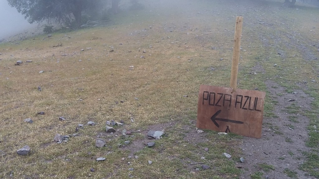 Foto: sector poza azul salamanca - Salamanca (Coquimbo), Chile