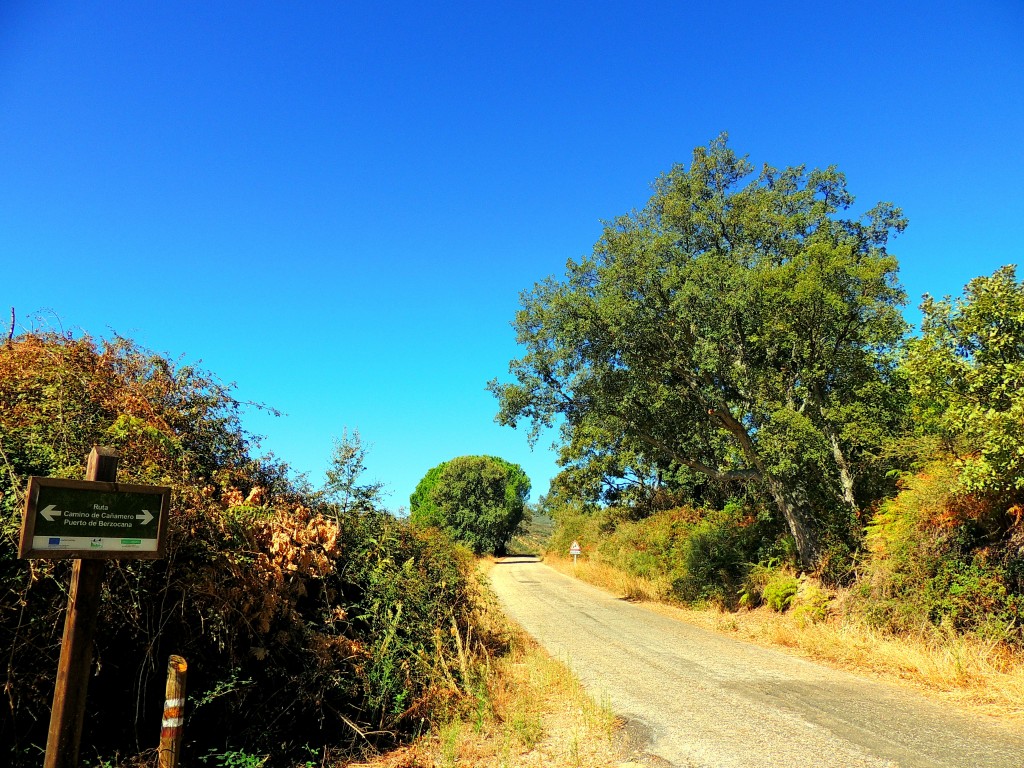 Foto de Cañamero (Cáceres), España
