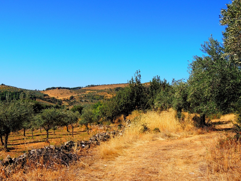 Foto de Cañamero (Cáceres), España