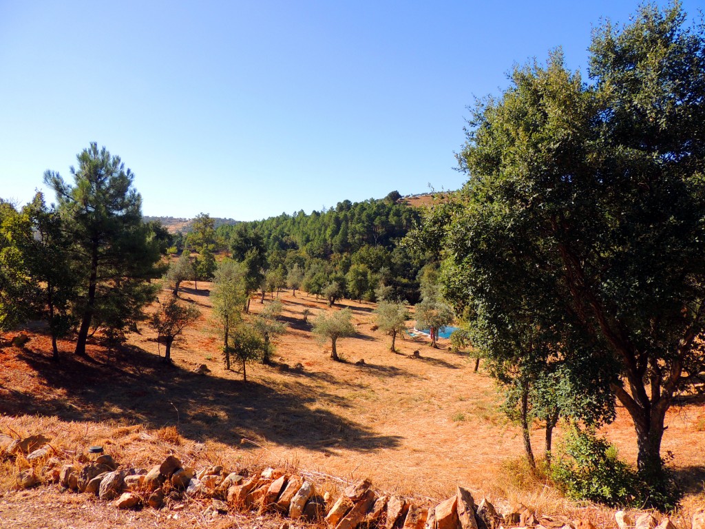 Foto de Cañamero (Cáceres), España