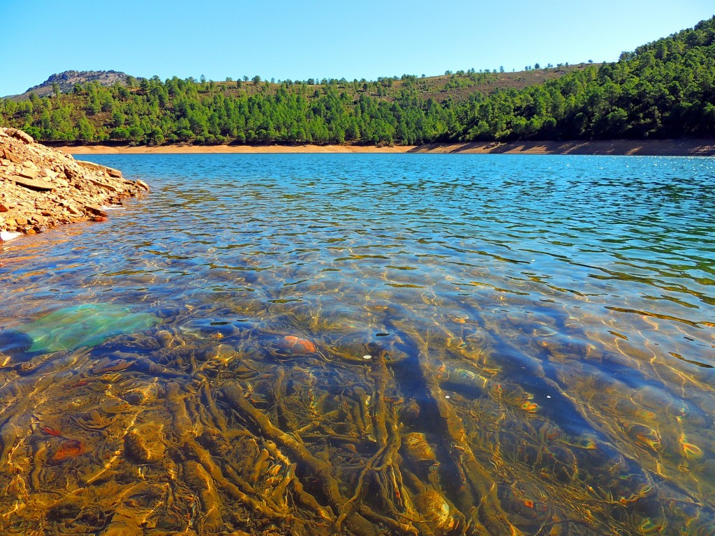 Foto de Cañamero (Cáceres), España