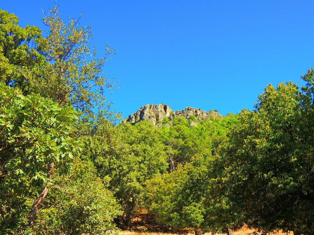 Foto de Cañamero (Cáceres), España